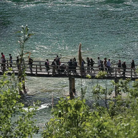 Terracotta زابوريتش