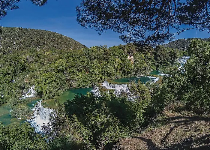 Terracotta * ז'אבוריץ'